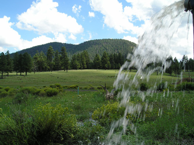 Well Water & A1 Mt