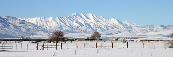 (Spanish Fork) Land Surveys (Spanish Fork) Land Surveys