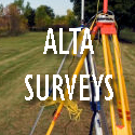 ALTA BUTTON Home 