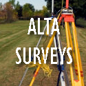 alta surveys